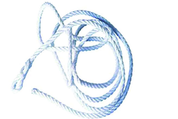 SiamBrothers - nhà hậu cần vững chắc của ngư dân