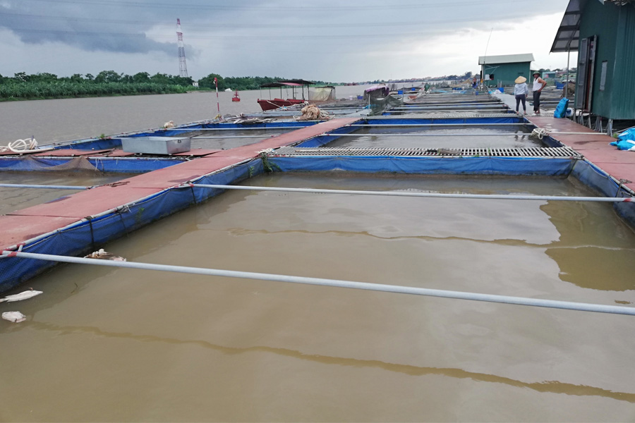 Lồng bè thủy sản bằng lưới khung sắt