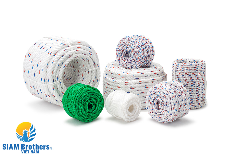 Dây con gà là gì? Tại sao lại được ngư dân Việt Nam tin dùng đến vậy?