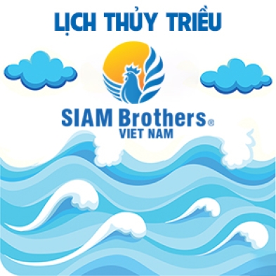 Lịch thủy triều 16/04/2026 (29/02/2026 âm lịch)