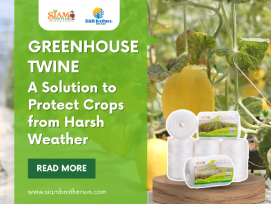 Greenhouse Twine – A Solution to Protect Crops from Harsh Weather