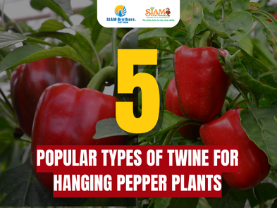 5 Popular Types of Twine for Hanging Pepper Plants - Capsicum Hanging Twine