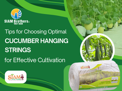 Tips for Choosing Optimal Cucumber Hanging Strings for Effective Cultivation