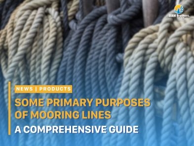 Some Primary Purposes of Mooring Lines: A Comprehensive Guide