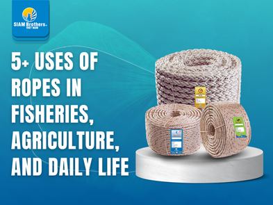 5+ Uses of Ropes in Fisheries, Agriculture, and Daily Life