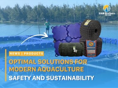 Optimal Solutions for Modern Aquaculture: Safety and Sustainability