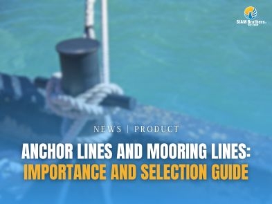 Anchor Lines and Mooring Lines: Importance and Selection Guide