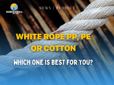 White Rope PP, PE  or Cotton - Which One is Best for You?