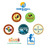 ĐA DẠNG MẪU MÃ