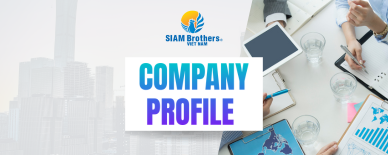 PROFILE CÔNG TY