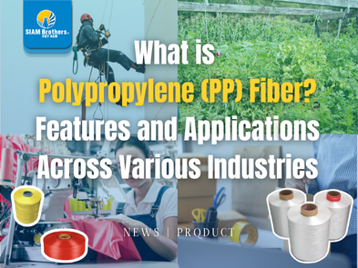 Sợi Polypropylene (PP) là gì? Tính năng và ứng dụng trong nhiều lĩnh vực