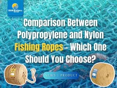 Comparison Between Polypropylene and Nylon Fishing Ropes – Which One Should You Choose?