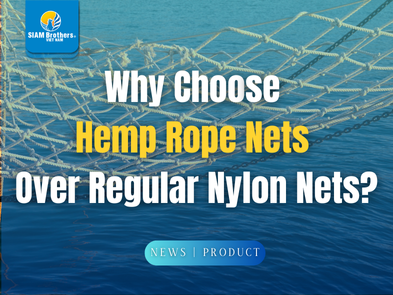 Why Choose Hemp Rope Nets Over Regular Nylon Nets?