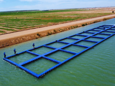 20 ô phao lồng bè HDPE tại Campuchia