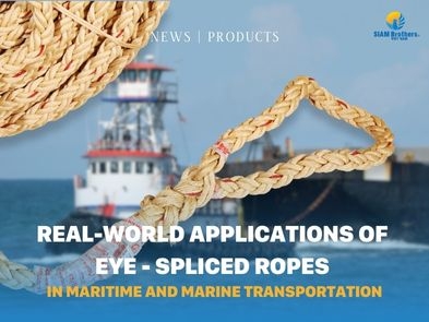 Ứng dụng thực tế của dây chầu đầu trong ngành hàng hải và vận tải biển