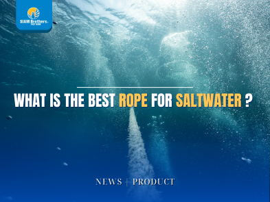 Dây nào tốt nhất cho môi trường nước mặn?