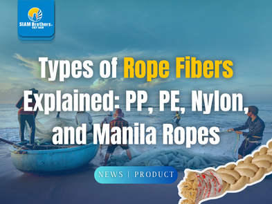 Types of Rope Fibers Explained: PP, PE, Nylon, and Manila Ropes