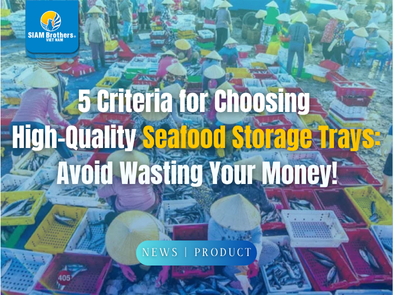 5 tiêu chí chọn khay đựng thủy sản chất lượng: Đừng để mất tiền oan!
