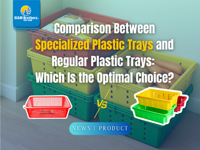 So sánh khay nhựa chuyên dụng và khay nhựa thông thường: Đâu là lựa chọn tối ưu?