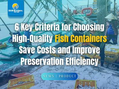 6 tiêu chí chọn khay đựng cá chất lượng – Giúp tiết kiệm chi phí và bảo quản tốt hơn