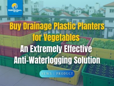 Mua khay nhựa trồng rau thoát nước – Giải pháp chống úng cực hiệu quả