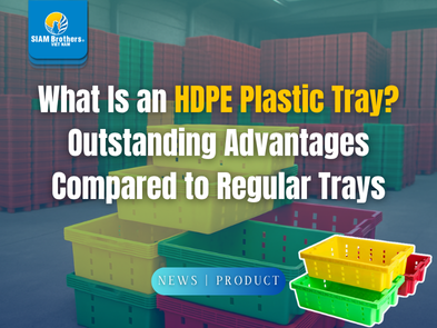 Khay nhựa HDPE là gì? Ưu điểm vượt trội so với các loại khay thông thường