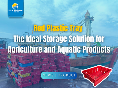 Khay nhựa màu đỏ – Giải pháp đựng hàng lý tưởng cho ngành nông, thủy sản