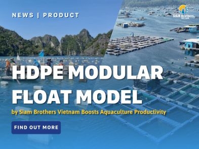 Mô hình mô-đun phao HDPE Siam Brothers Việt Nam nâng năng suất nuôi trồng thủy sản