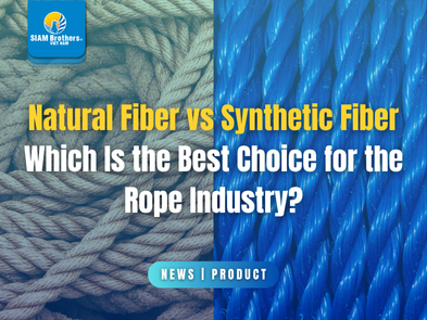 So sánh sợi tự nhiên và sợi tổng hợp: Lựa chọn nào tối ưu cho ngành dây thừng?