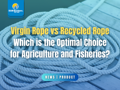 Dây nguyên sinh vs dây tái sinh: Đâu là lựa chọn tối ưu cho nông ngư nghiệp?