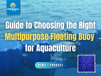 Hướng dẫn chọn phao nổi đa năng phù hợp cho ngành nuôi trồng thủy sản