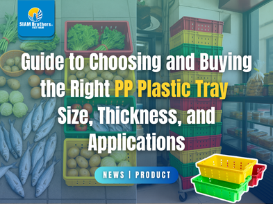 Hướng dẫn chọn và mua khay nhựa PP phù hợp: kích thước, độ dày, ứng dụng