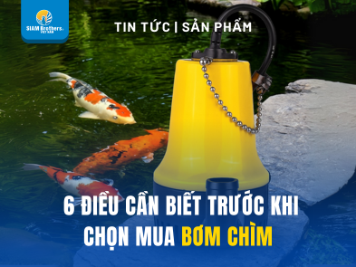 Submersible Pump: 6 Things to Know Before Choosing the Right Model