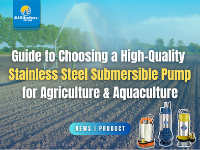 Guide to Choosing a High-Quality Stainless Steel Submersible Pump for Agriculture & Aquaculture