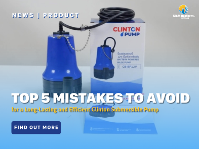 Top 5 Mistakes to Avoid for a Long-Lasting and Efficient Clinton Submersible Pump