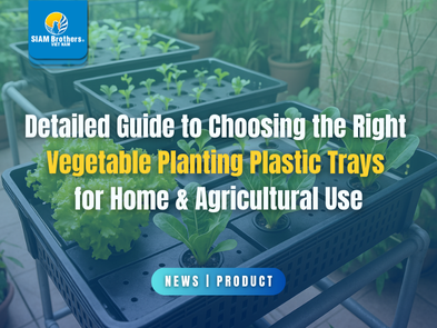 Detailed Guide to Choosing the Right Vegetable Planting Plastic Trays for Home & Agricultural Use