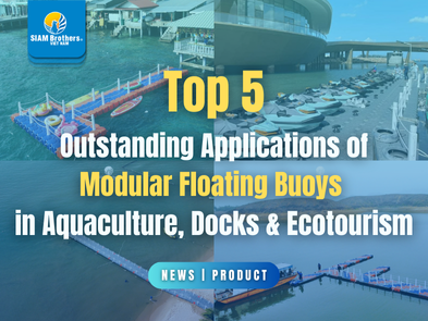 Top 5 ứng dụng nổi bật của phao nổi lắp ghép trong thủy sản, cầu cảng & du lịch sinh thái