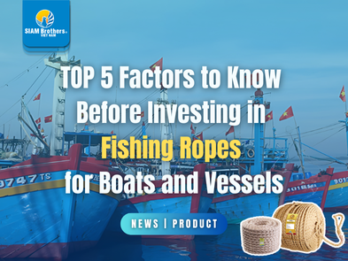 TOP 5 yếu tố cần biết trước khi đầu tư dây thừng đánh cá cho tàu thuyền
