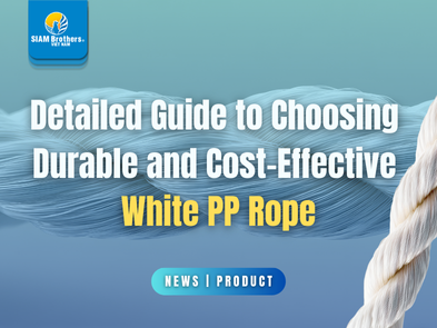 Hướng dẫn chi tiết chọn mua dây thừng PP trắng bền, chắc và tiết kiệm chi phí