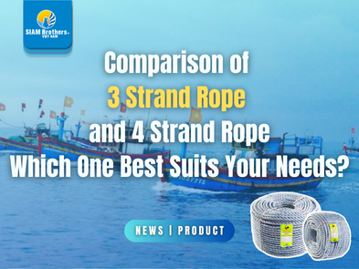 So sánh dây 3 tao và dây 4 tao: Loại nào phù hợp nhất cho nhu cầu của bạn?