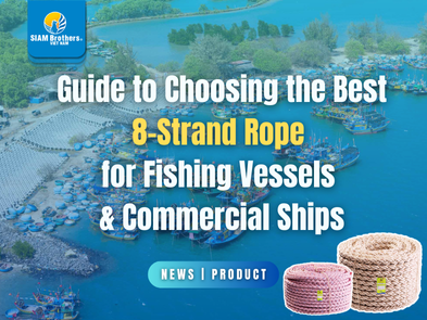 Hướng dẫn chọn dây 8 tao cho tàu cá & tàu thương mại chất lượng nhất
