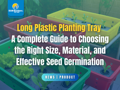 Long Plastic Planting Tray — A Complete Guide to Choosing the Right Size, Material, and Effective Seed Germination
