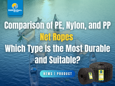 Comparison of PE, Nylon, and PP Net Ropes – Which Type Is the Most Durable and Suitable?
