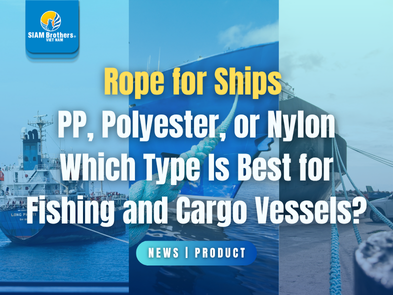 Rope for Ships: PP, Polyester, or Nylon — Which Type Is Best for Fishing and Cargo Vessels?