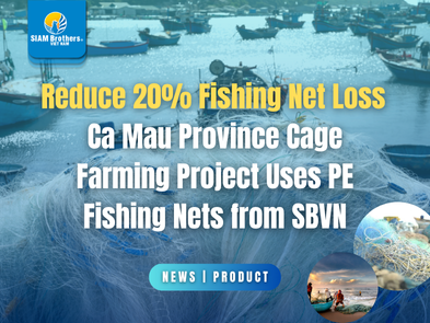Reduce 20% Fishing Net Loss — Ca Mau Cage Farming Project Uses PE Fishing Nets from SBVN