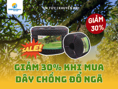 GIẢM SẬP SÀN 30%! Dây chống đổ ngã SIAM Eco Farm – Cứu cánh mùa bão cho nhà nông