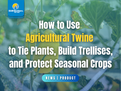 How to Use Agricultural Twine to Tie Plants, Build Trellises, and Protect Seasonal Crops