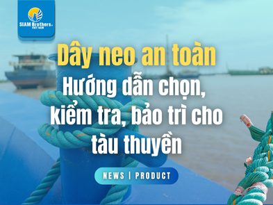Dây neo an toàn: Hướng dẫn chọn, kiểm tra, bảo trì cho tàu, thuyền