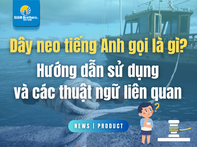 Dây neo tiếng Anh gọi là gì? Hướng dẫn sử dụng và các thuật ngữ liên quan