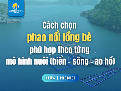 Cách chọn phao nổi lồng bè phù hợp theo từng mô hình nuôi (biển – sông – ao hồ)